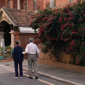 污软件下载免费
