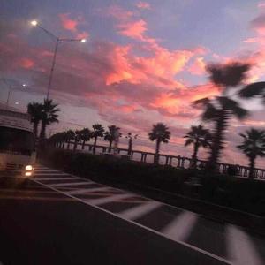 污软件下载免费
