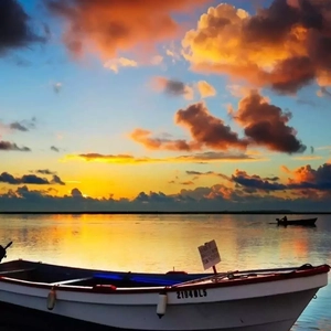 污软件下载免费
